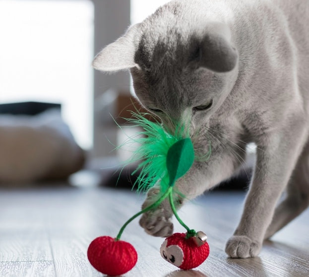 Petstages Dental Cherries Red