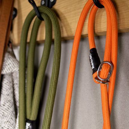 Rebel Petz Training Leash