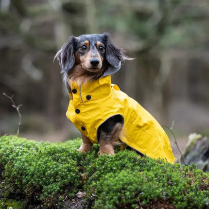 Rukka Stream Raincoat