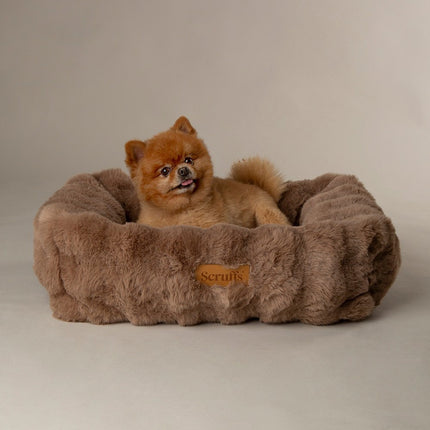 Scruffs Alpine Box Bed