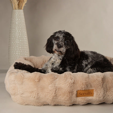 Scruffs Alpine Box Bed