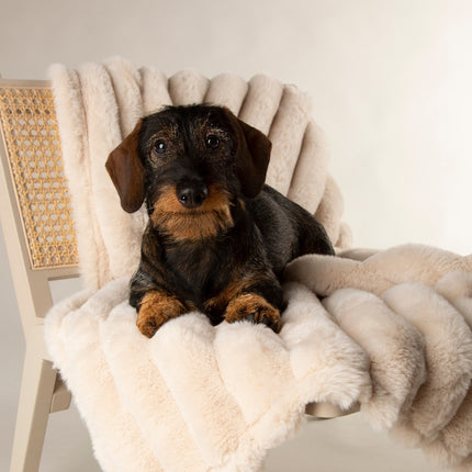 Scruffs Aspen Blanket