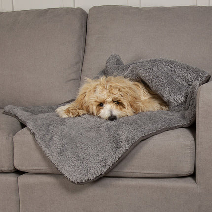 Scruffs Cosy Blanket