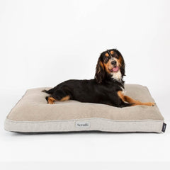 Scruffs Harvard Orthopedisch Matras