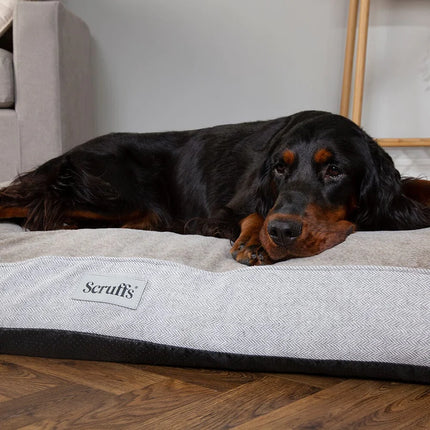 Scruffs Harvard Orthopedisch Matras