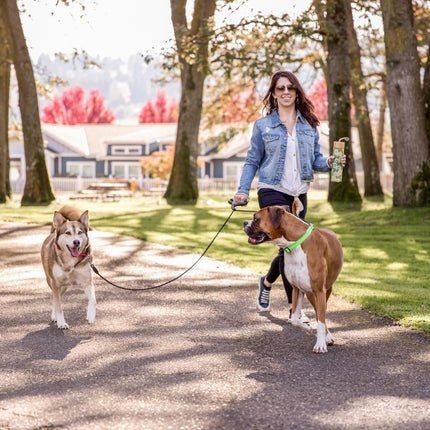 Wigzi Dual Doggie Gel Leash
